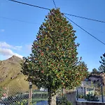 Homestay Casa Na Serra Terras de Bouro