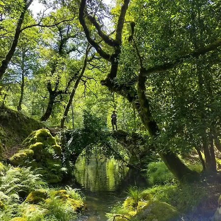 Homestay szállás Casa Na Serra Terras de Bouro