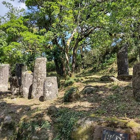 Casa Na Serra * Терраш-ди-Бору