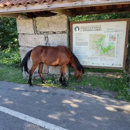Casa Na Serra * 테라스 드 부로