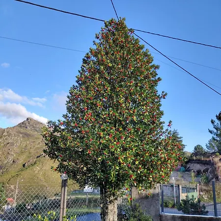 Séjour chez l'habitant Casa Na Serra Terras de Bouro