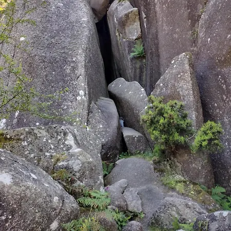 Séjour chez l'habitant Casa Na Serra