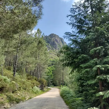 Casa Na Serra تيراس دي بورو