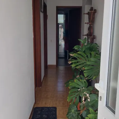 Casa Na Serra * تيراس دي بورو