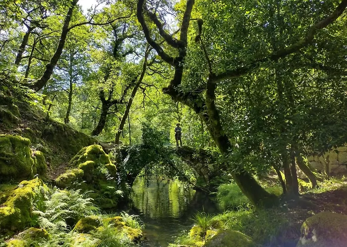 Homestay szállás Casa Na Serra Terras de Bouro