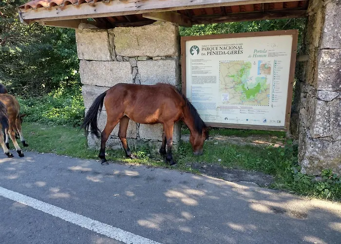 Casa Na Serra * Terras de Bouro