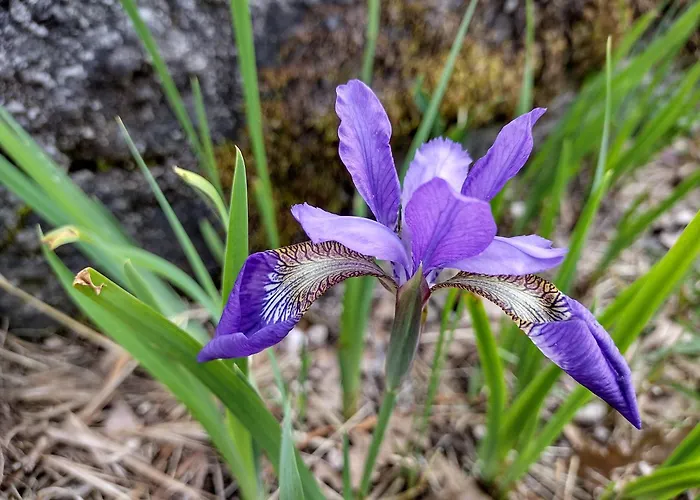 Casa Na Serra Homestay szállás