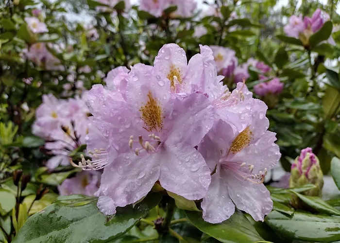 홈스테이 Casa Na Serra