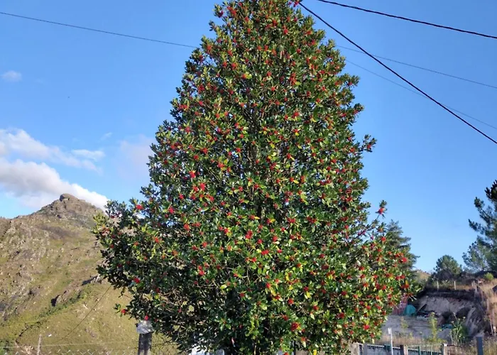 Homestay szállás Casa Na Serra Terras de Bouro