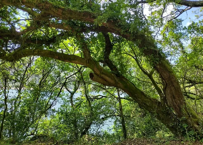 Casa Na Serra Terras de Bouro