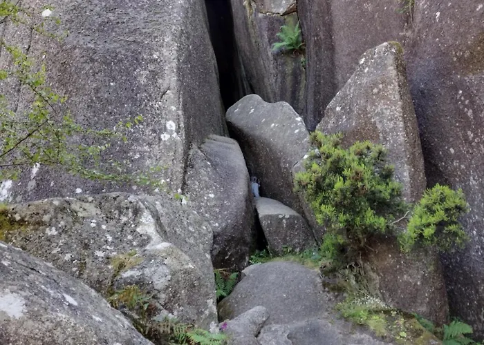 홈스테이 Casa Na Serra