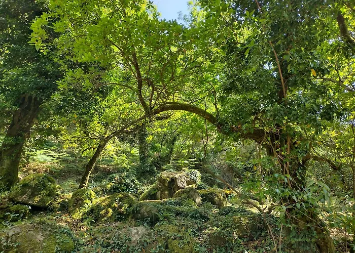 Проживание в семье Casa Na Serra *