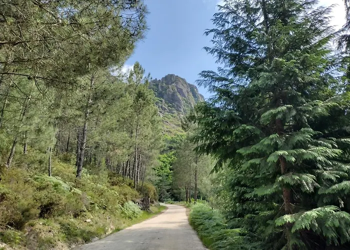 Casa Na Serra Терраш-ди-Бору