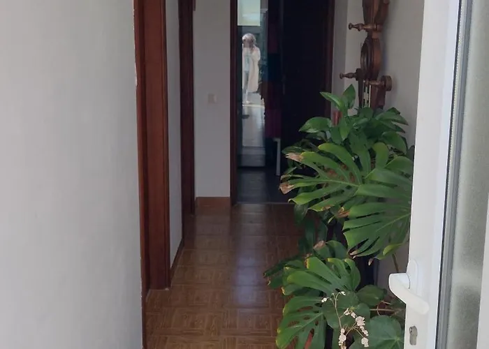 Casa Na Serra * 테라스 드 부로